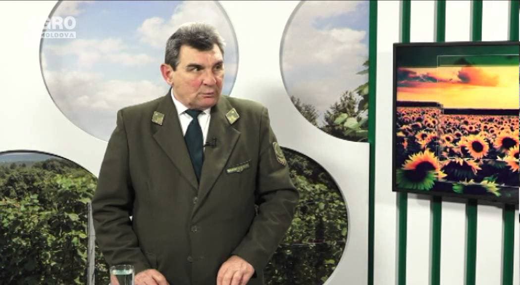 Ce venituri aduc plantele medicinale, ciupercile sau fructele colectate din păduri. INVITAT: Alexei Palancean, inginer silvic șef