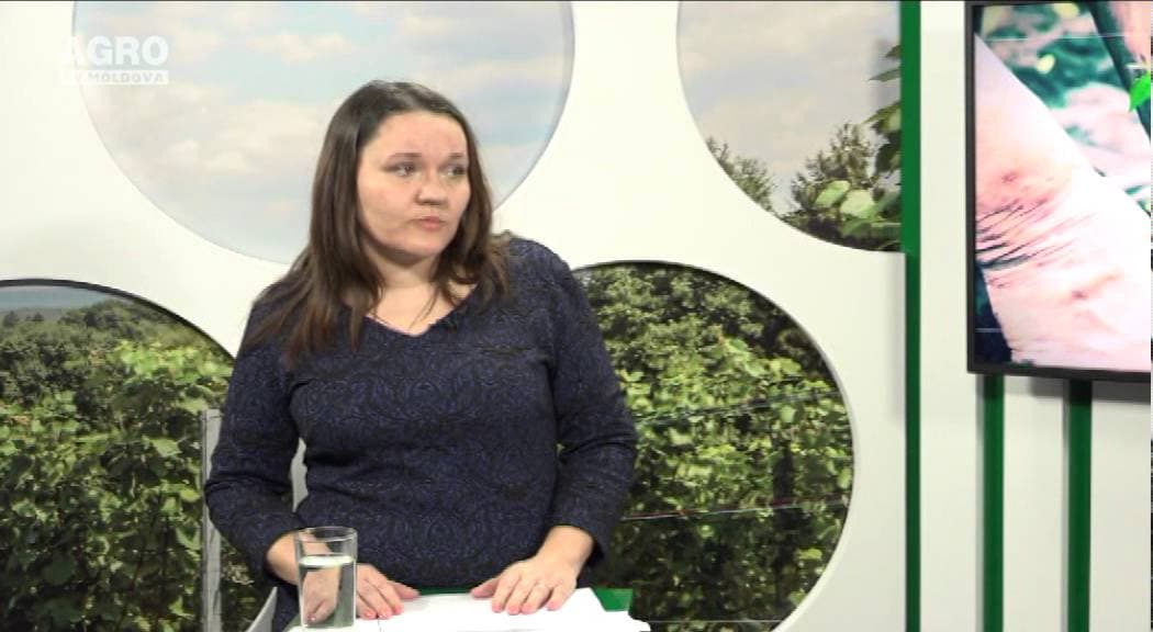 Ce sancțiuni riscă cei care nu vor reuși să depună declarațiile pe venit. INVITATĂ: Gabriela Brineac, șefa secției administrare fiscală a sectorul Râșcani