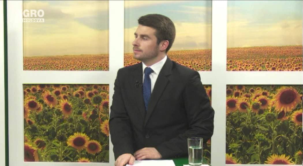 Cum alegem corect semințele culturilor de câmp pentru semănatul de primăvară. INVITAT: Boris Boincean, doctor habilitat și specialist în cadrul ICCC „Selecţia”