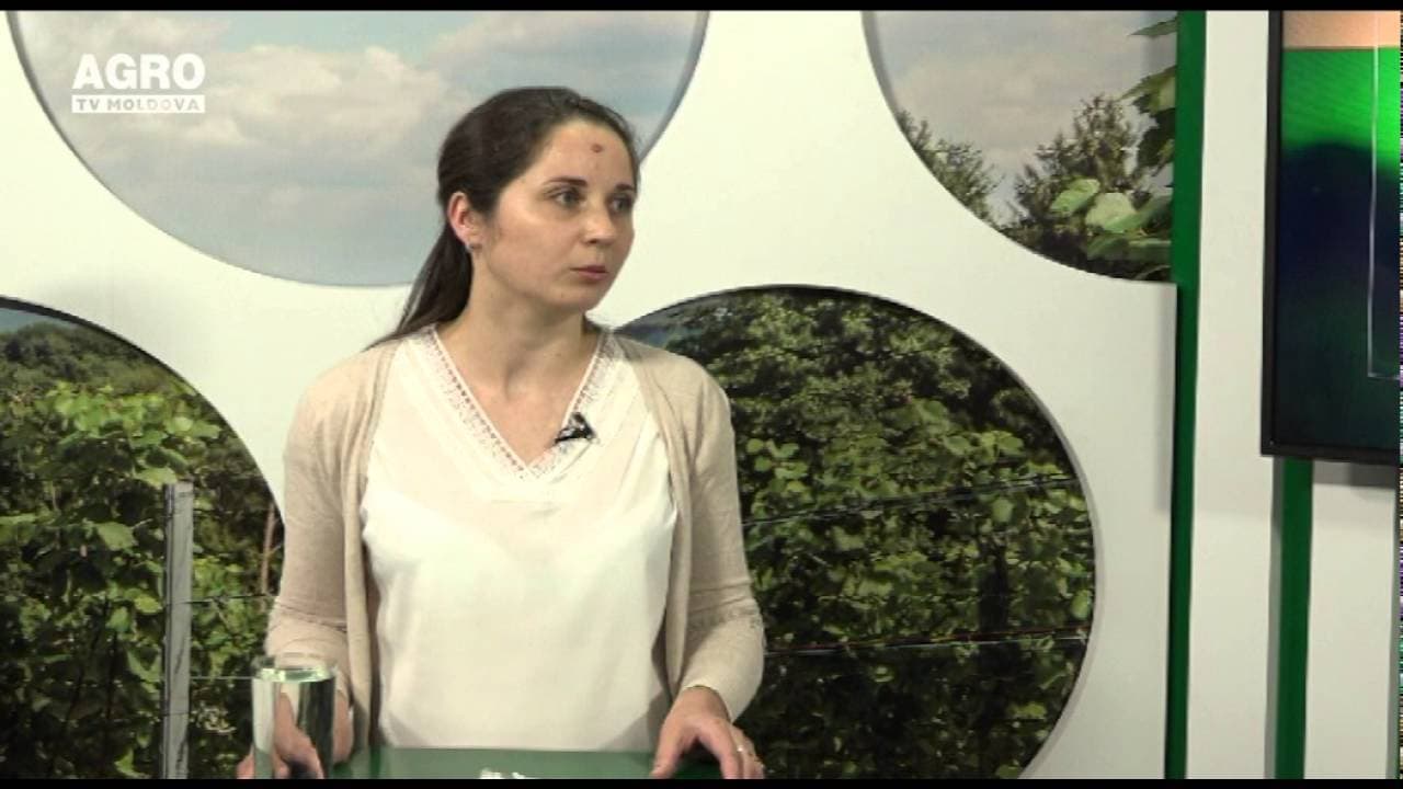 Cum să-ți faci avere de pe urma producerii nucilor și migdalelor. INVITAȚI: Tatiana și Igor Golban, producători de nuci și migdale ecologice