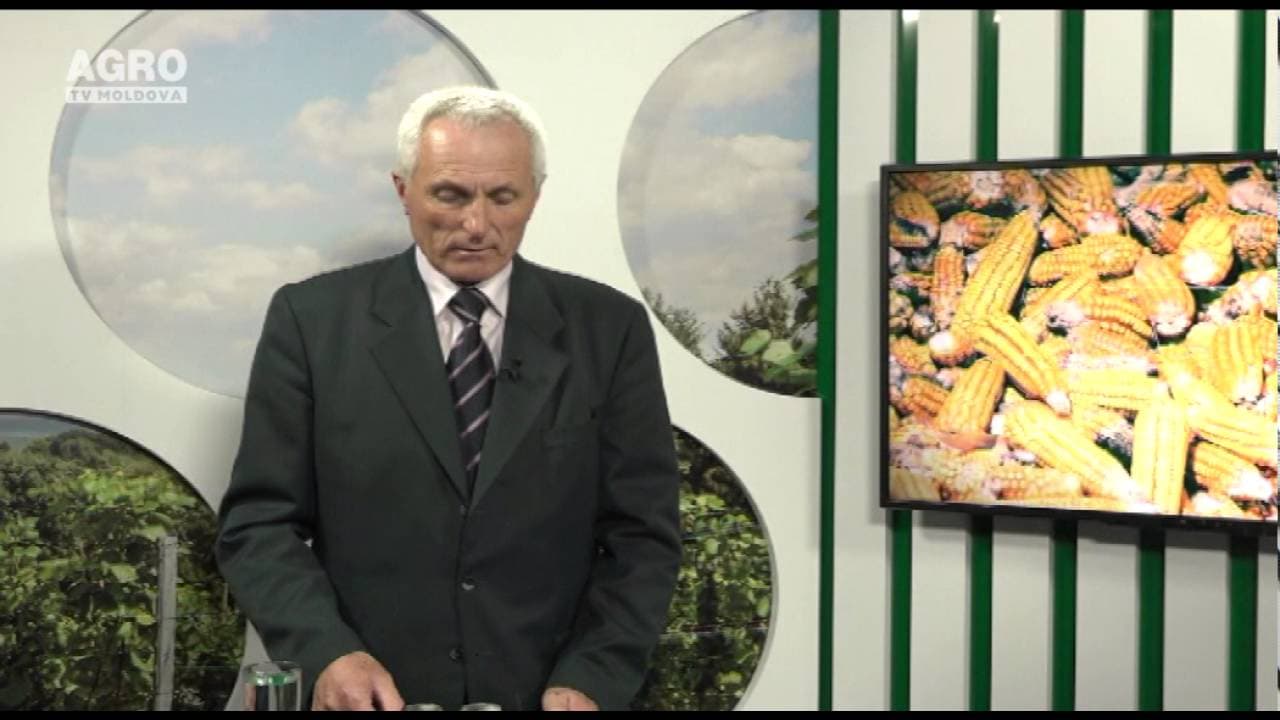 Sporirea rezistenței plantelor horticole prin utilizarea substanțelor biologic active. INVITAT: Nicolae Bujoreanu, doctor habilitat în agricultură