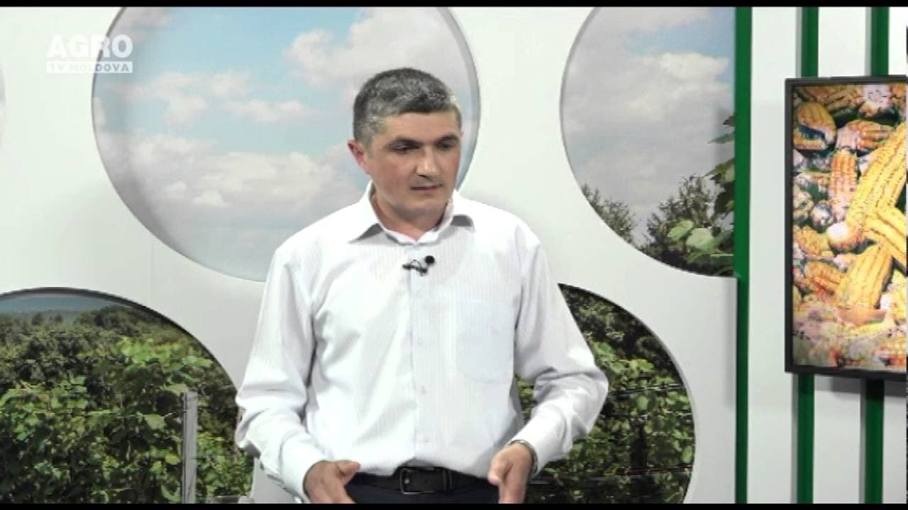 Asigurările în agricultură – obligatorii sau la alegere? INVITAT: Oleg Galbură, specialist în domeniul asigurărilor agricole