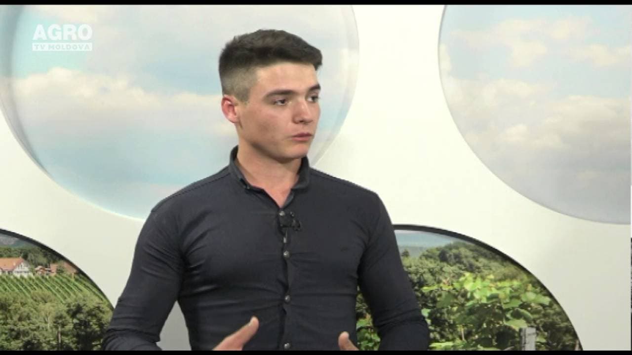 Tehnologia cultivării căpșunilor. INVITAȚI: Mihail Tripac, profesor discipline agronomice în cadrul CNVVC și Andrei Domenti, student