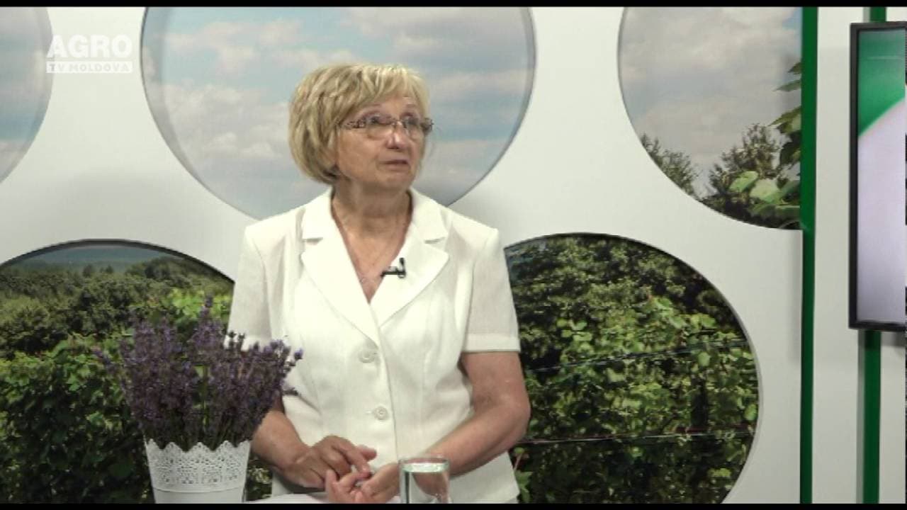 Cultivarea lavandei – cea mai profitabilă cultură pe terenuri mici. INVITATĂ: Maria Gonceariuc, şefa Centrului Genetica şi Ameliorarea Plantelor Aromatice şi Medicinale din cadrul IGFPP
