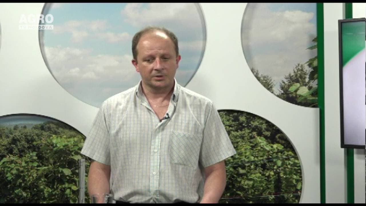 Gestionarea corectă a apelor de suprafață. INVITAT: Radu Cazacu, director adjunct al Agenției „Apele Moldovei”