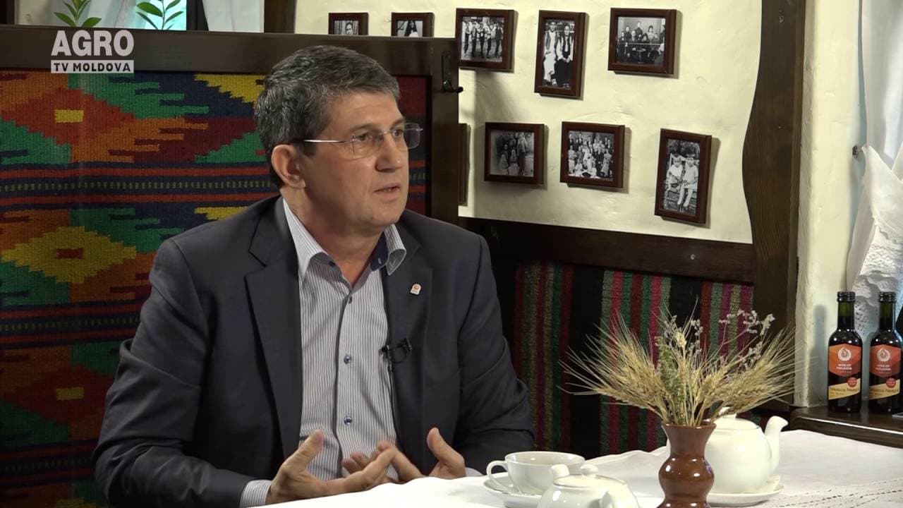 Întâlnirea de la ora 8 cu Gheorghe Arpentin