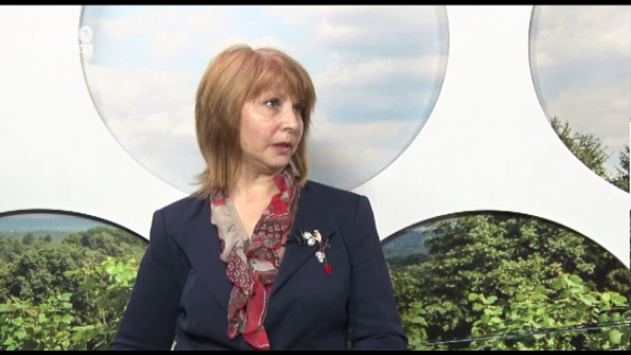 Cum poate un tânăr antreprenor să acceseze fonduri pentru inițierea sau dezvoltarea afacerii. INVITAT: Elena Burlacu