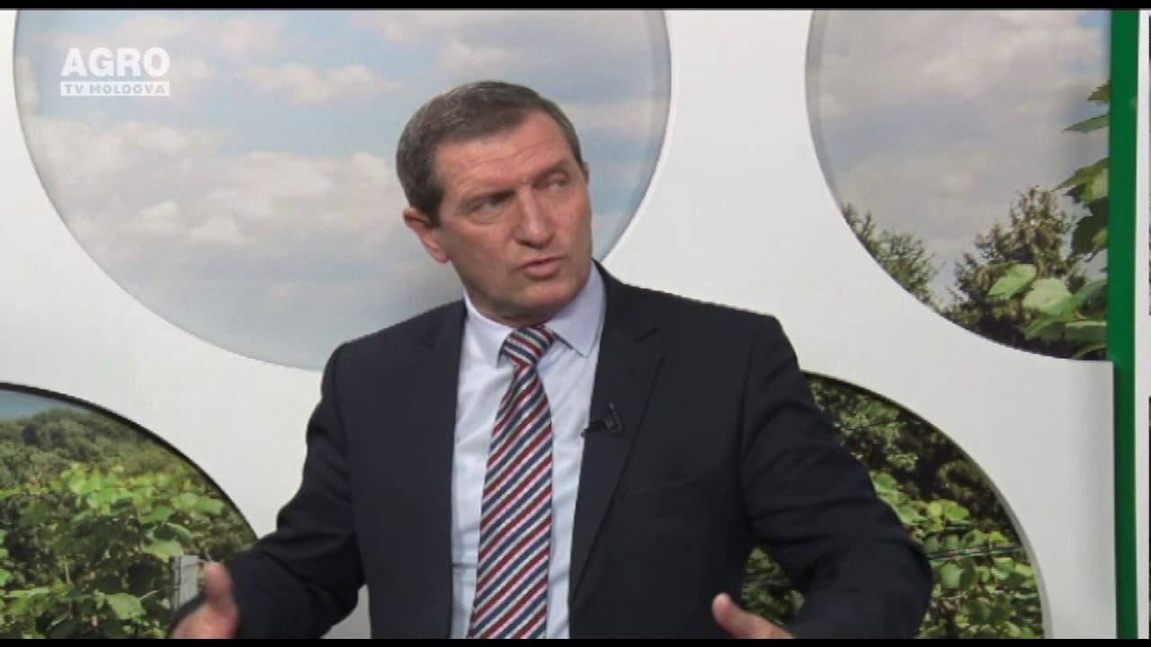 Cauzele și riscurile pestei porcine, înregistrate în nord-estul Moldovei. INVITAT: Vsevolod Stamati, director general adjunct al Agenției Naționale pentru Siguranța Alimentelor