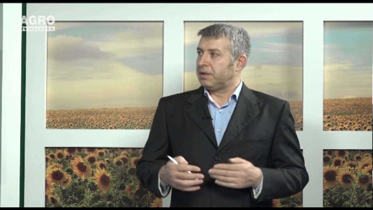 Creditarea agriculturii, până în prezent în impas. INVITAT: Sergiu Gaibu, expert asociat al centrului analitic Expert-Grup pe problemele pieței financiar-bancare