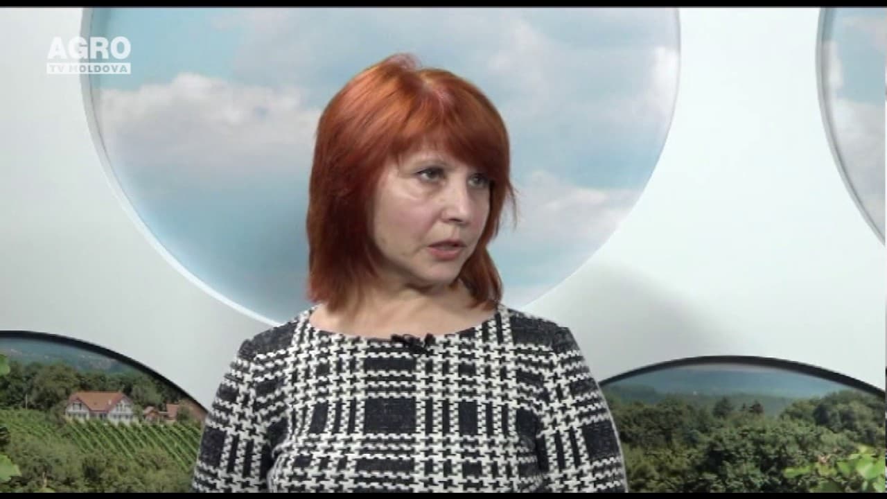 Asociațiile de Economii și Împrumut, element esențial în finanțarea sectorului rural. INVITAȚI: Elena Burlacu și Alina Cebotariov