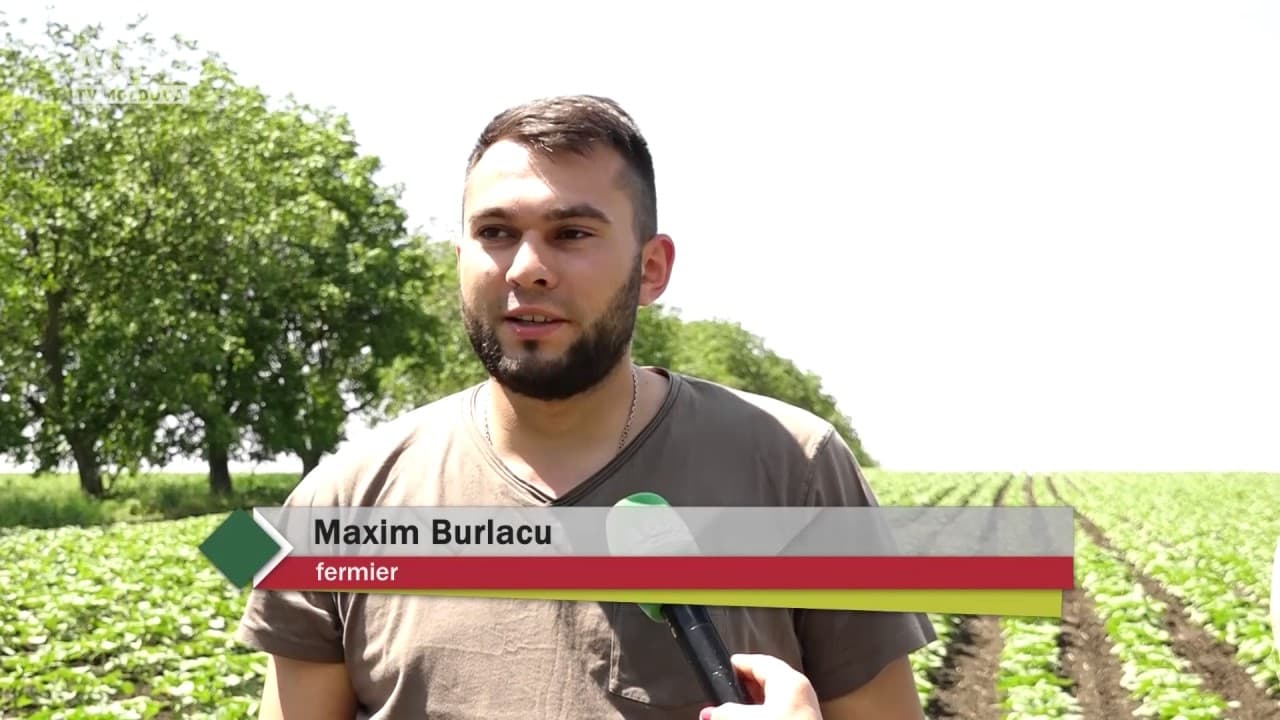 Baștina din 28.05.2017