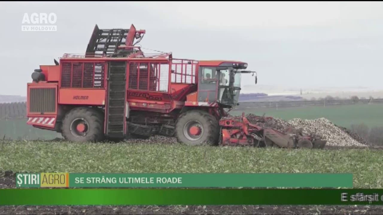 Ediție specială de Ziua lucrătorilor din Agricultură și Industria de Prelucrare