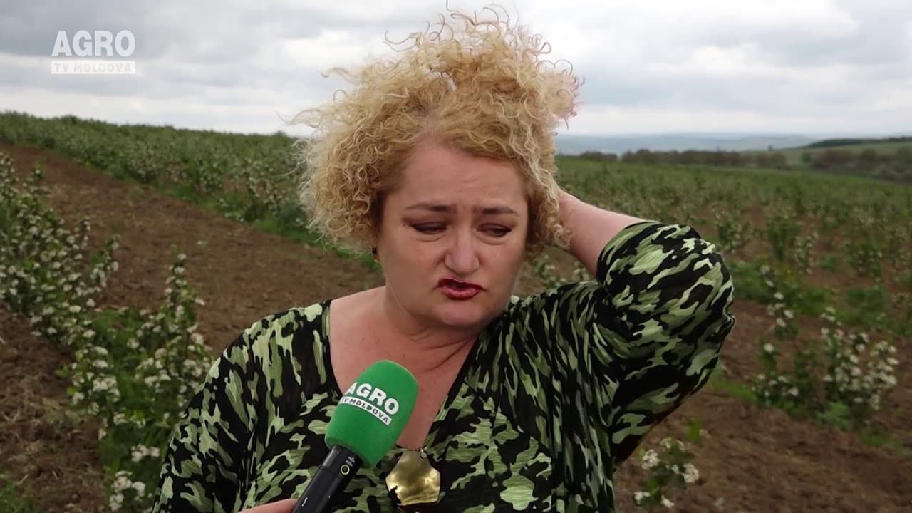Baștina din 13.05.2018
