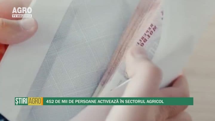 452 de mii de persoane activează în sectorul agricol