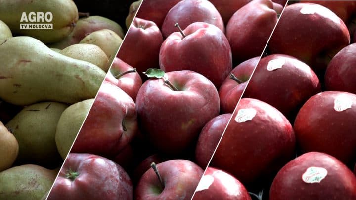 ABC-ul Fermierului. Agricultura competitivă