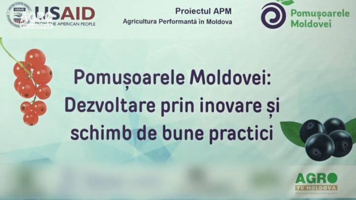 Sectorul de pomușoare în continuă dezvoltare!