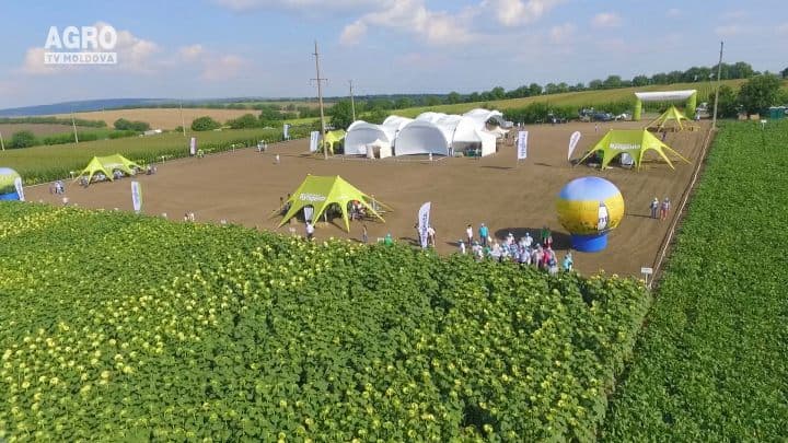 Culturi de succes doar cu Universul Syngenta
