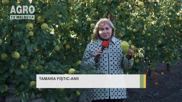 ABC-ul Fermierului. Agricultura competitivă