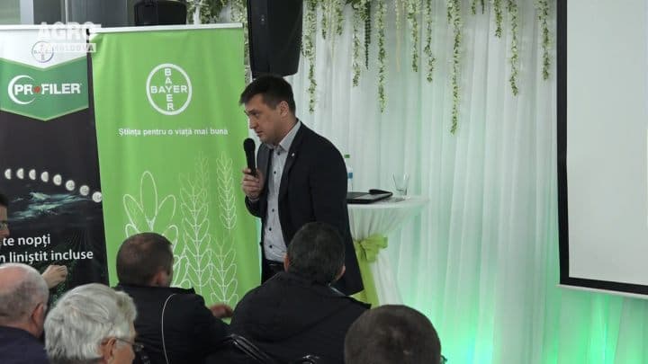 Principalele boli și dăunători la vița de vie prezentate de Bayer