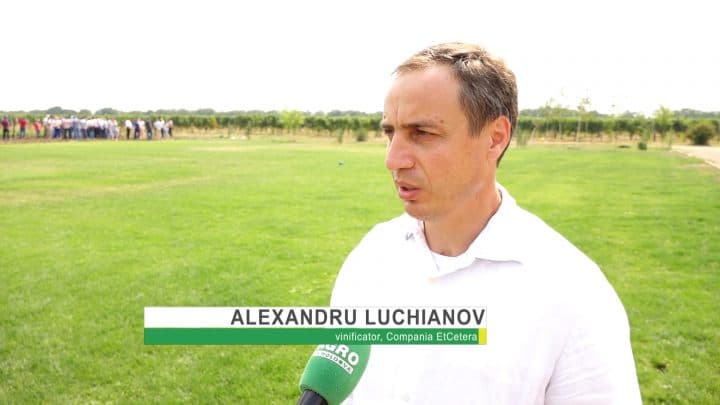 Bunele practici privind înfiinţarea şi exploatarea plantaţiilor viticole, destinate pentru producerea produselor vitivincole cu IGP/DOP, la vinăria Et Cetera