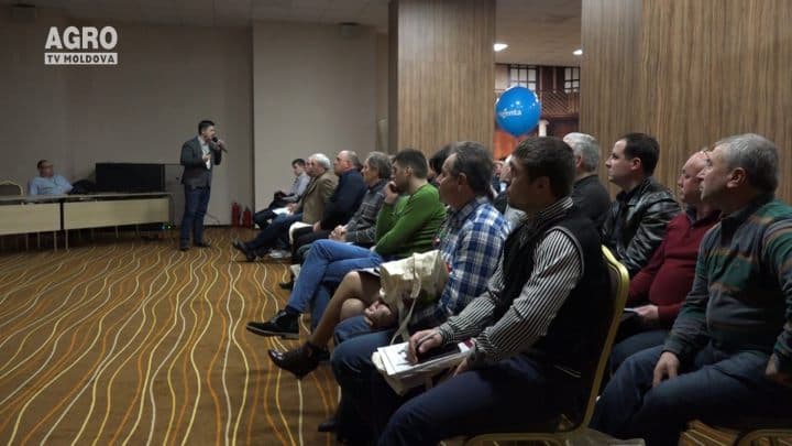 Combaterea bolilor și dăunătorilor pe plantațiile de viță de vie