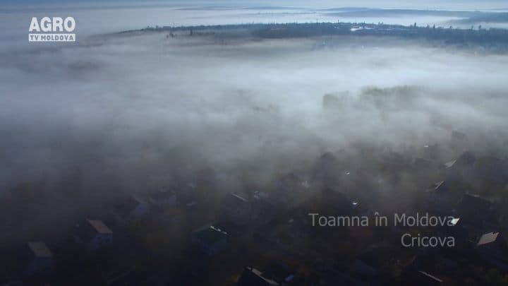 AgroTV Toamna - Cricova