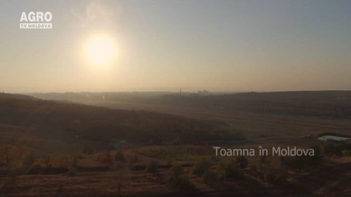 AgroTV Toamna - Mănoilești