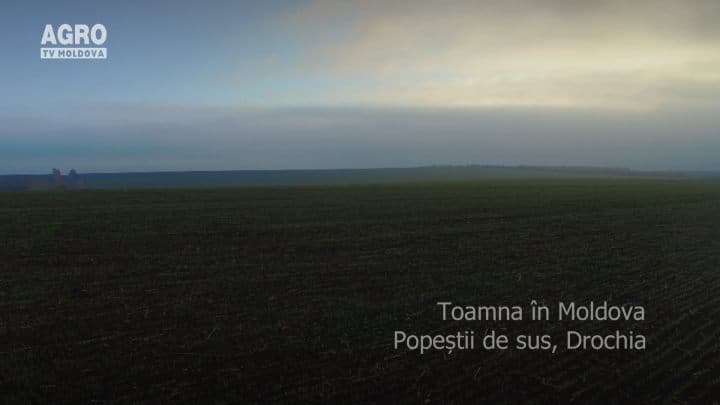 AgroTV Toamna - Popești
