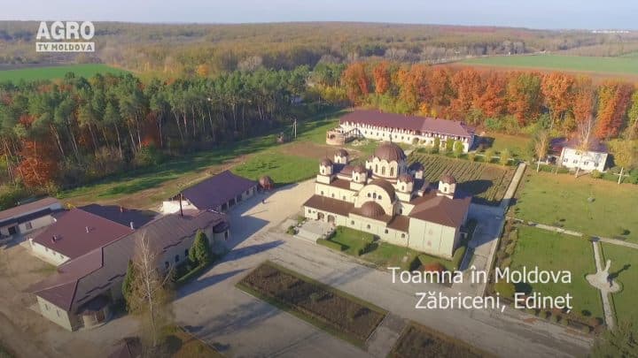 AgroTV Toamna - Zăbriceni