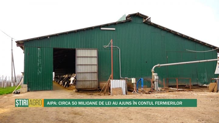 AIPA: Circa 50 milioane de lei au ajuns în contul fermierilor