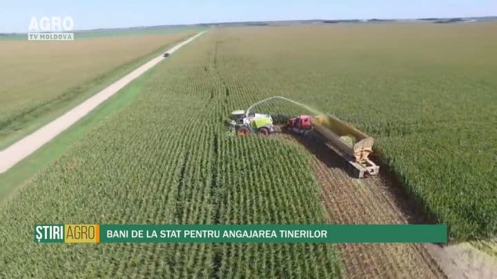 Bani de la stat pentru angajarea tinerilor