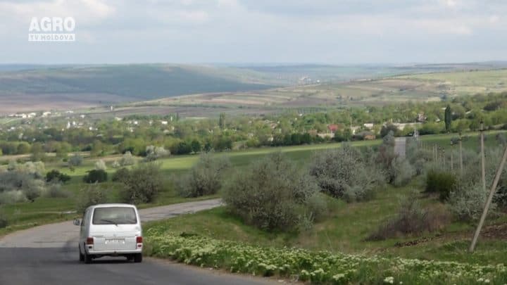 Baștina din 14.05.2017