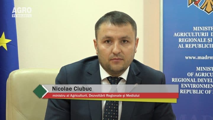 Baștina din 25.11.2018