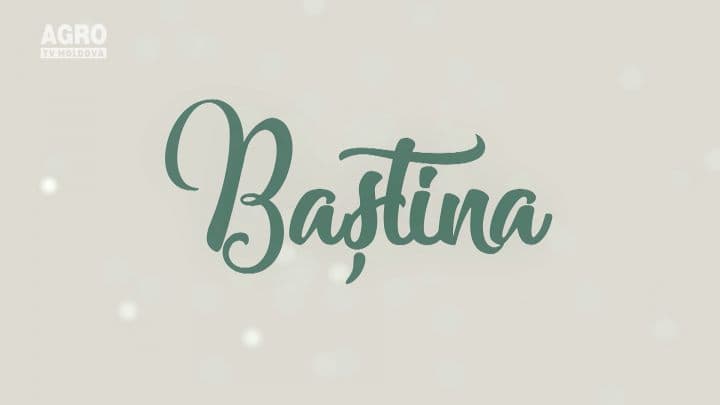 Baștina din 29.07.2018
