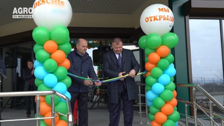 Baștina din 31.03.2019