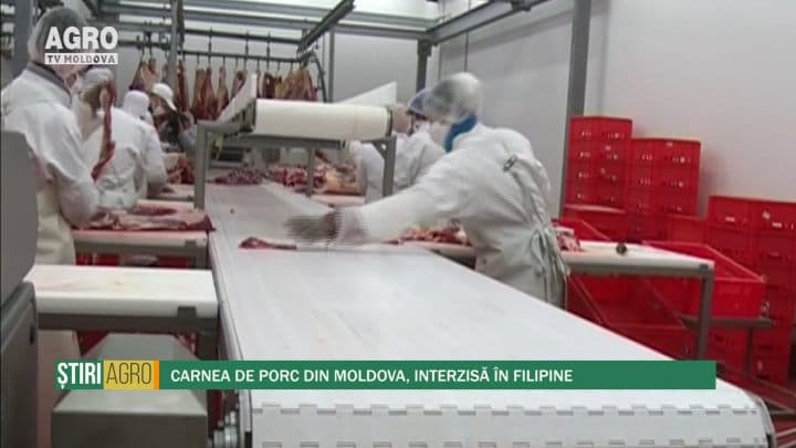 Carnea de porc din Moldova, interzisă în Filipine