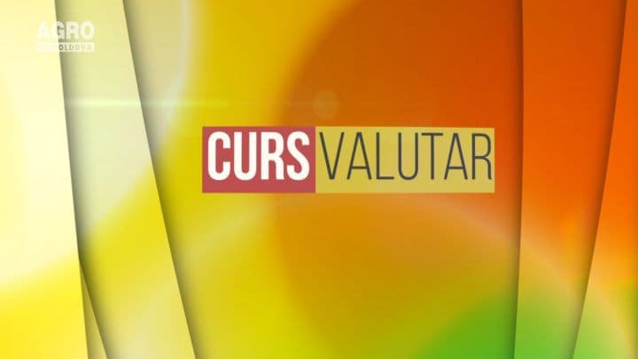 Cursul valutar 21.05.2019