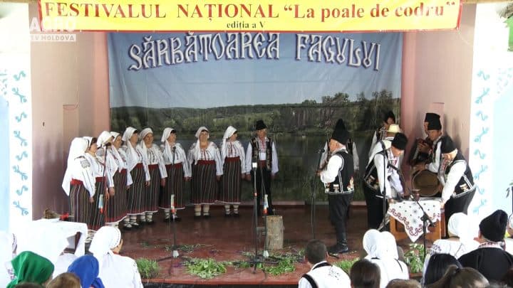Festivalul Național ,,La poale de codru,, a V-a ediție