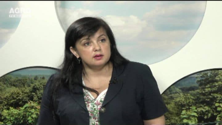 Programul LEADER, o strategie diferită de reabilitare a mediului rural. INVITATĂ: Stela Alexei, coordonatoare de proiecte privind mobilizarea comunitară și dezvoltare a serviciilor publice în cadrul programului SARD, finanțat de UE și implementat de PNUD