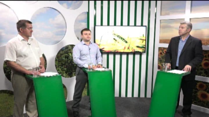 Apicultorii la prima recoltă. Cum se arată piața mierii în acest an? INVITAȚI: Ion Maxim, președintele asociației de apicultori APIS Melifera și Nicanor Negru, exportator de miere