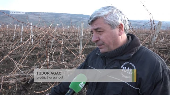 Gospodarii Moldovei 20 Decembrie 2015