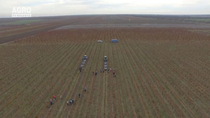 Gospodarii Moldovei 27 Decembrie 2015