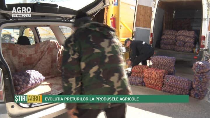Evoluția prețurilor la produsele agricole