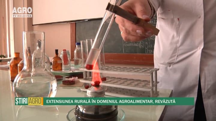 Extensiunea rurală în domeniul agroalimentar, revăzută