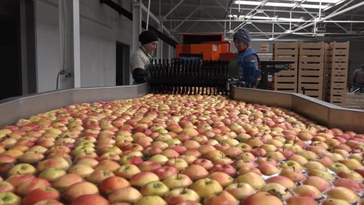 Cooperarea în agricultură - o necesitate