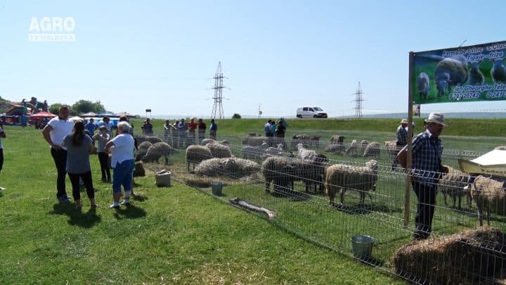 Ferma de Familie, ediția V