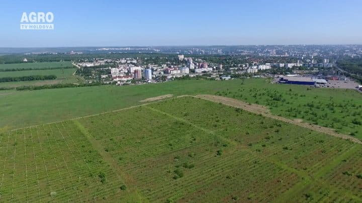 Instrurirea agricultorilor și facilitarea accesului la finanțe-priorități ale FNFM