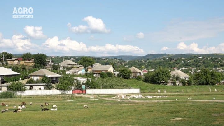 Ferma de Familie, ediția VI