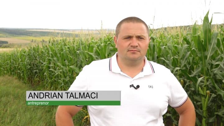 Andrian Talmaci din Sagaidac, reușeste să gestioneze 500 de HA de terenuri agricole