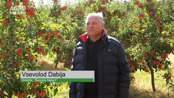 Gospodarul Moldovei, Vsevolod Dabija